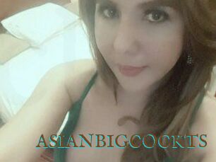 ASIAN_BIGCOCK_TS