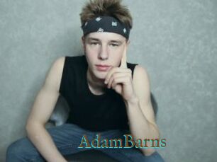 AdamBarns