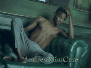 AndrewSlimCute