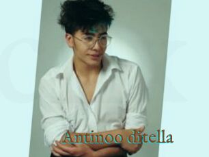 Antinoo_ditella