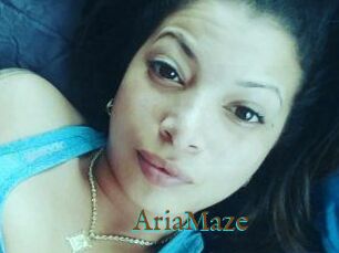 Aria_Maze