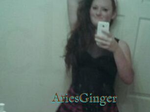 AriesGinger