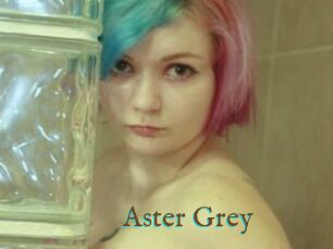 Aster_Grey