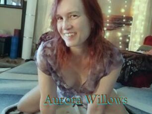 Aurora_Willows