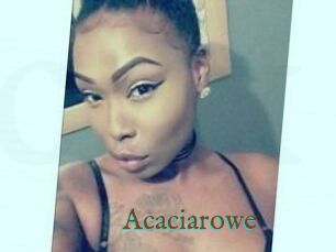 Acacia_rowe