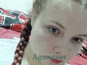 Agnesevan