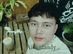 Aidenlandy