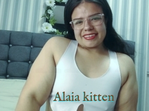 Alaia_kitten