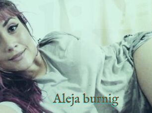 Aleja_burnig