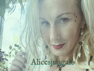 Alicesjungalo