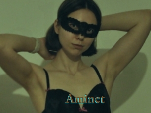 Aminet