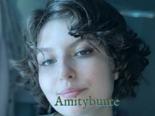 Amitybunte