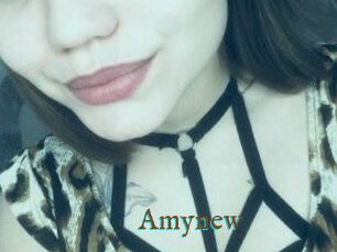 Amynew