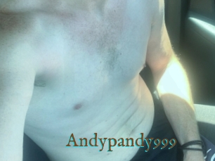 Andypandy999