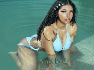 Aniebell