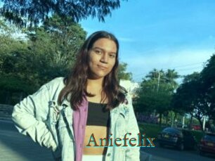 Aniefelix