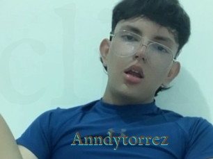 Anndytorrez