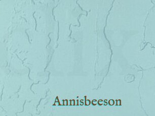 Annisbeeson