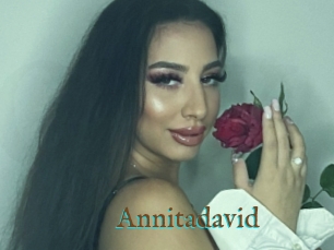 Annitadavid