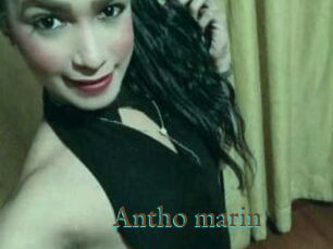 Antho_marin