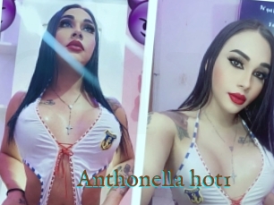 Anthonella_hot1