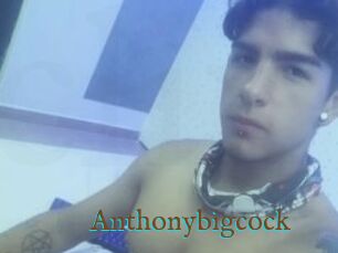 Anthonybigcock