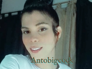 Antobigcock