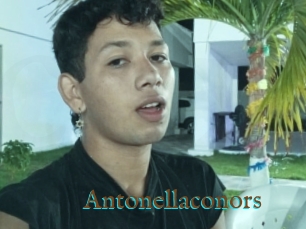 Antonellaconors