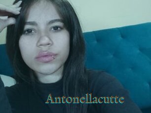 Antonellacutte