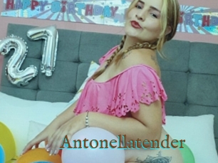 Antonellatender