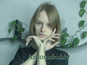 Antoniabiddy