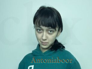 Antoniaboor