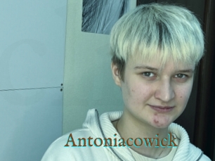 Antoniacowick