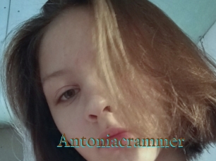 Antoniacrammer