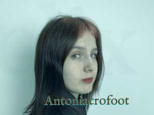 Antoniacrofoot