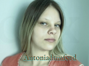 Antoniadumford