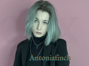 Antoniafinch