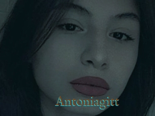 Antoniagitt