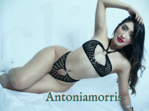 Antoniamorris