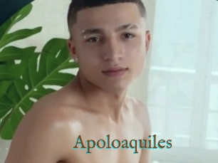 Apoloaquiles