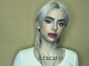 Aracaris