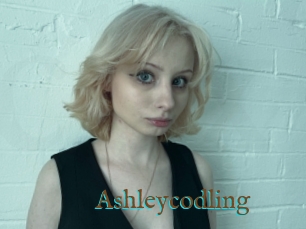 Ashleycodling