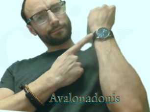 Avalonadonis