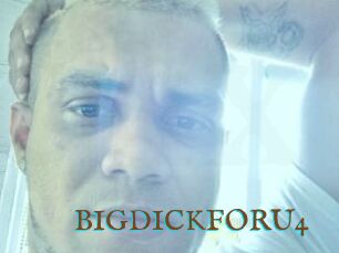 BIGDICKFORU4