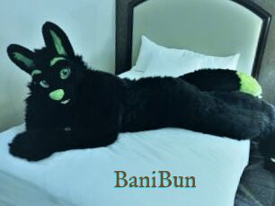 BaniBun