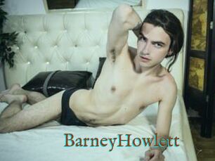 BarneyHowlett