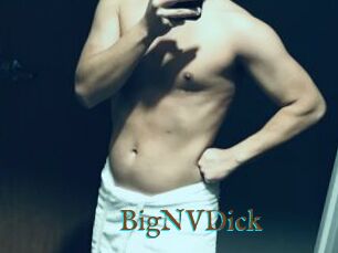 BigNVDick