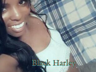 Black_Harley