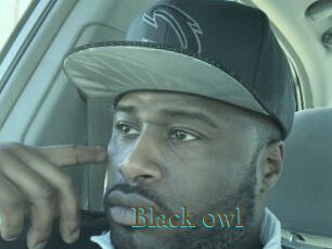 Black_owl