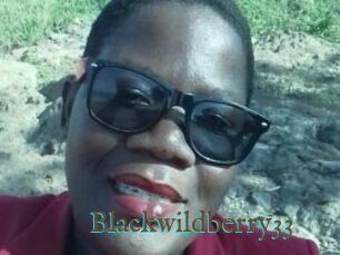 Blackwildberry33